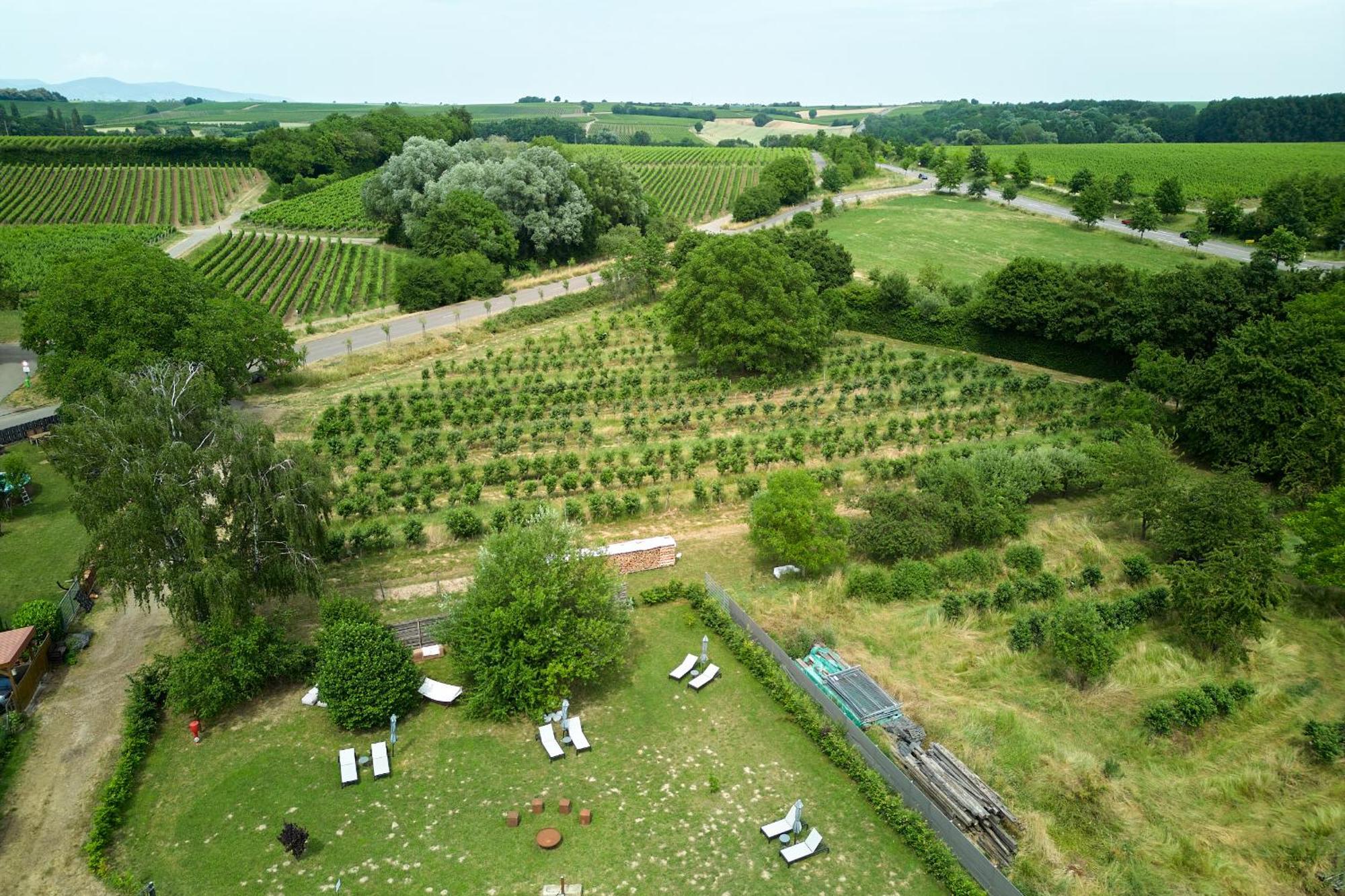Weinhotel Fritz Walter Niederhorbach Eksteriør billede